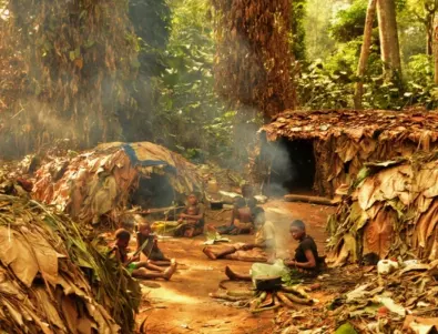 Откриха племе алкохолици в Конго