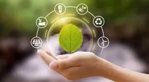 2021/11/01/0496847001635766638