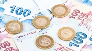 Турция пак свали лихвите, лирата отново лети към бездната