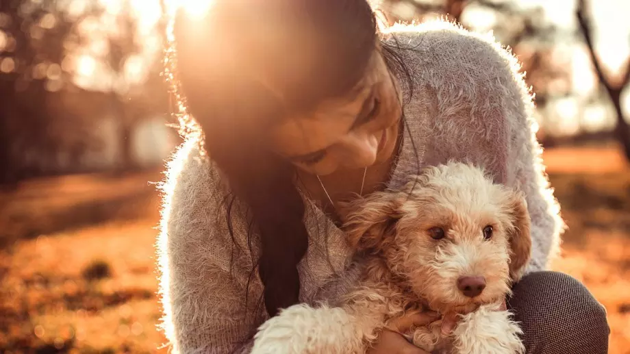 Късметче за всяка зодия за 13 ноември