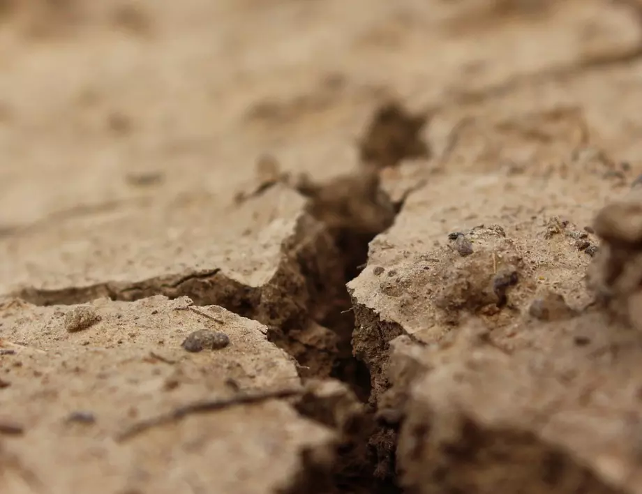 Опустиняването: Какво представлява и какви са рисковете за света?