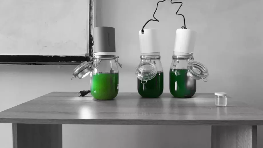 Младежи създават биореактор от микроводорасли, който пречиства въздуха (СНИМКИ)