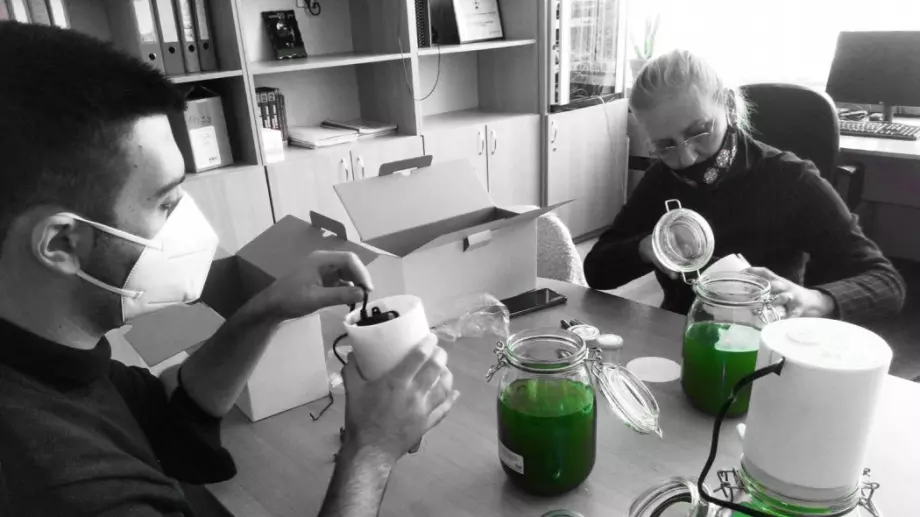 Проектът "Vodoraslo" или как да спасим въздуха с биореактор