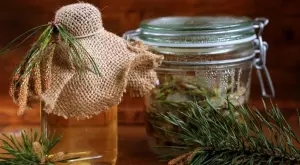 Рецепти с борови иглички