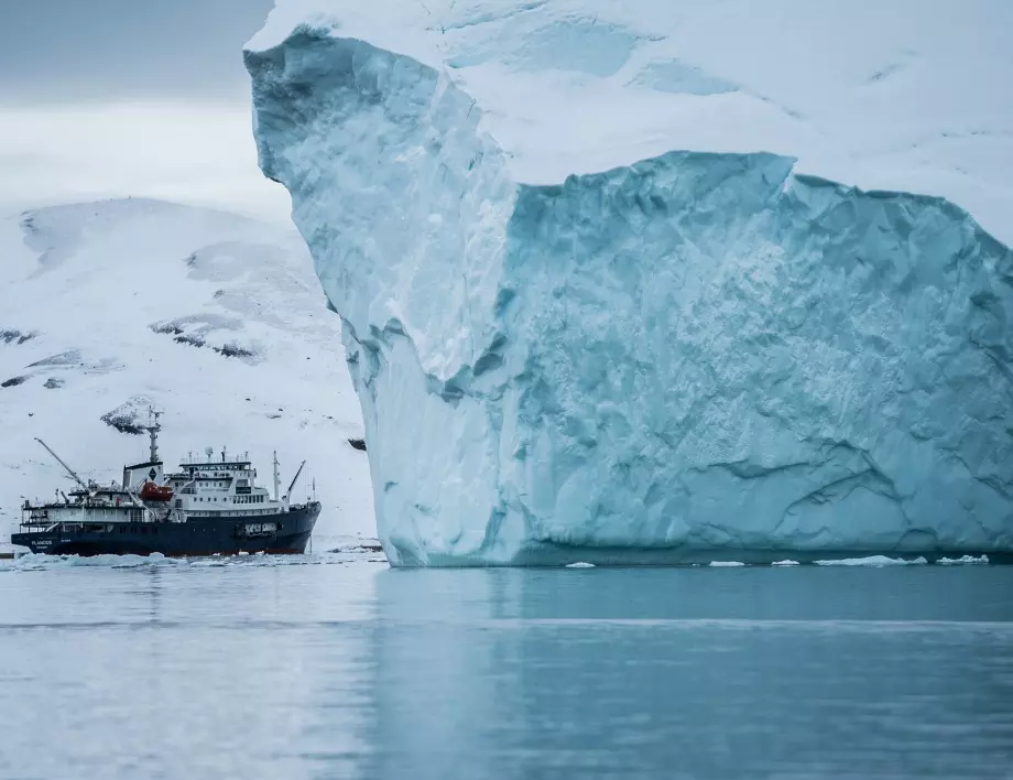 Най-старите фосили на морски влечуги бяха открити в Арктика