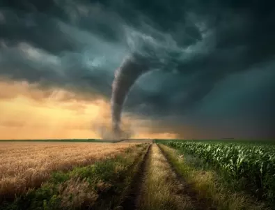 Стотици загинали в резултат на метеорологични катастрофи през 2021 г. в САЩ