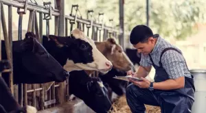 Земеделски стопани получиха 71 млн. лева заради пандемията