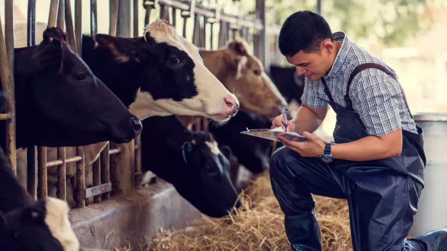 24 млн. лв. ще получат животновъдите по схемата de minimis