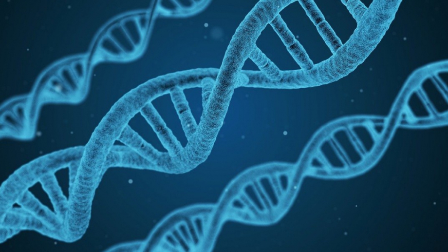 Ново проучване откри уникална ДНК мутация наблюдавана при хора от
