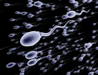 Предупреждение: Светът е пред репродуктивна криза - мъжете остават без сперматозоиди
