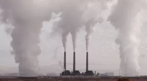 2021/11/24/0575571001637762032