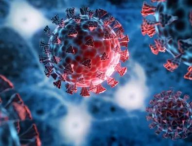 Новият вариант на коронавируса се казва Омикрон - български епидемиолог обясни какво се знае за него 