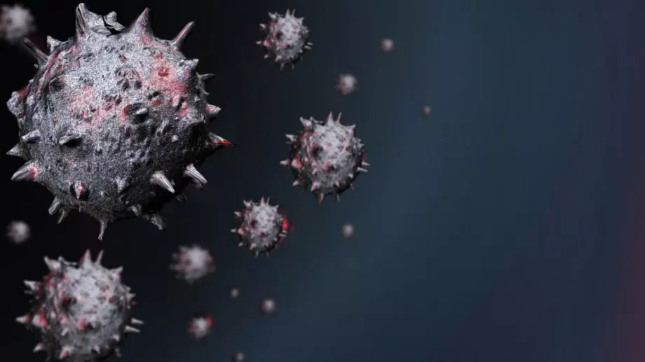 СЗО свиква извънредно заседание за южноафриканския вариант на COVID-19