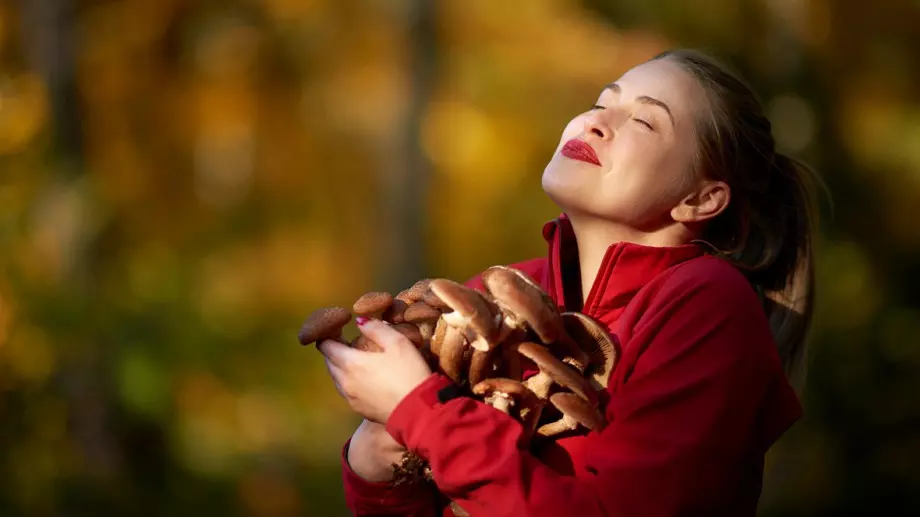 Страхотните ползи от консумацията на гъби 