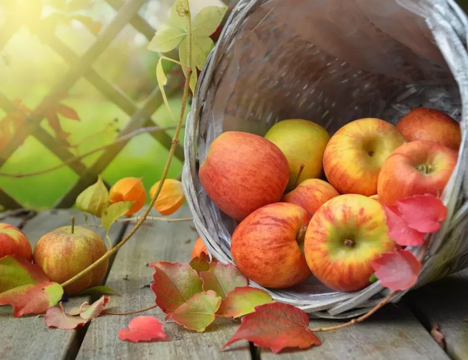 Страхотни ТРИКОВЕ за съхранение на свежестта на ябълките през зимата