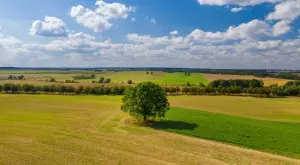 Земеделската земя стигна 3000 лева на декар