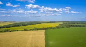 В България: Върви се към земеделски субсидии до 100 хил. лв. без данъци