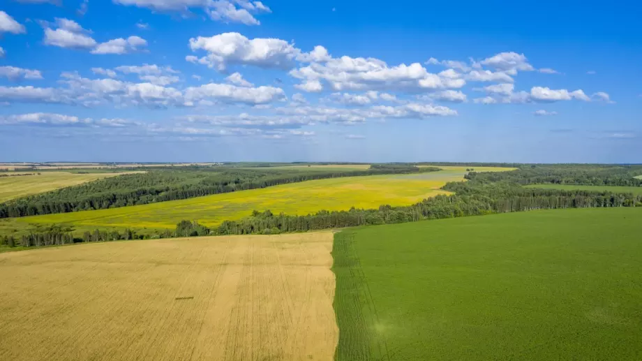 В България: Върви се към земеделски субсидии до 100 хил. лв. без данъци