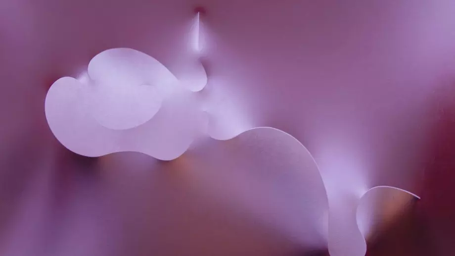 Картини-скулптури, които навлизат в пространството и го променят