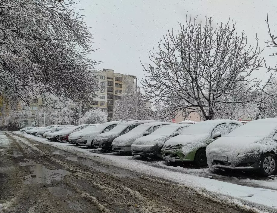 Красимир Димитров: Всички пътища в София са обработени със соли