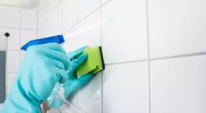 Каква е разликата между теракота и фаянс?