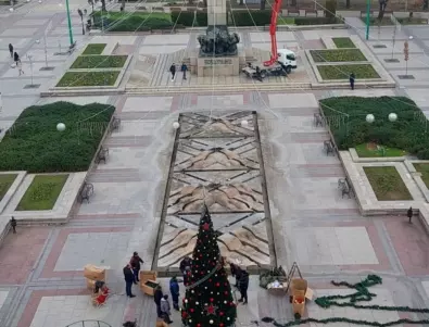 Коледната елха във Видин ще светне на Никулден