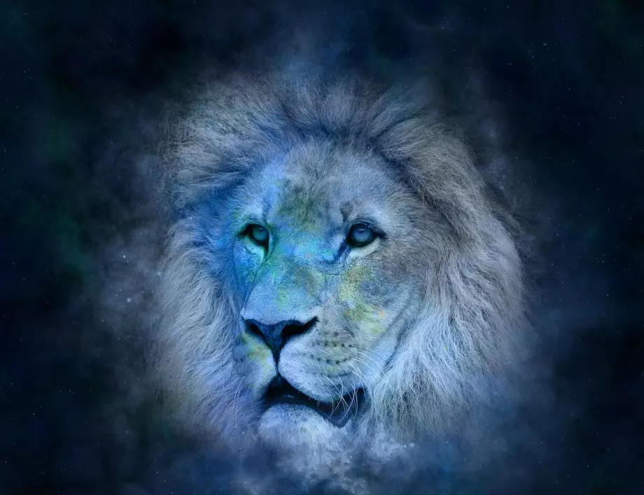 Слабостите на зодия Лъв, за които представителите й трябва много да внимават!
