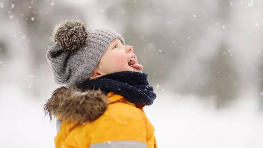 Стихотворение за 26 ноември 2023