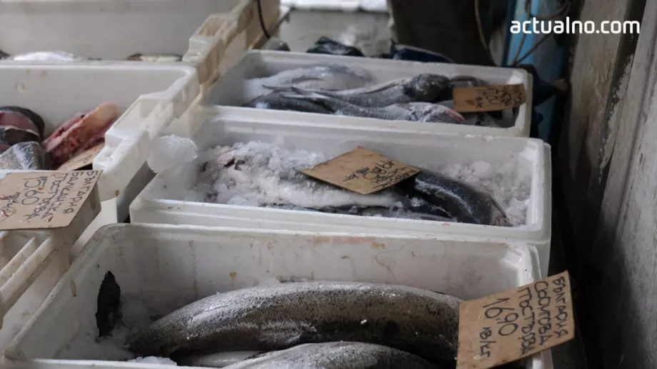 Никулден: Поскъпна ли рибата и коя е най-предпочитана? (ВИДЕО)