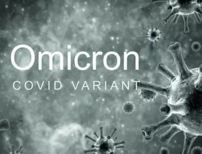 Учени: В-клетките на имунната система отслабват, но все пак могат да се справят с Омикрон