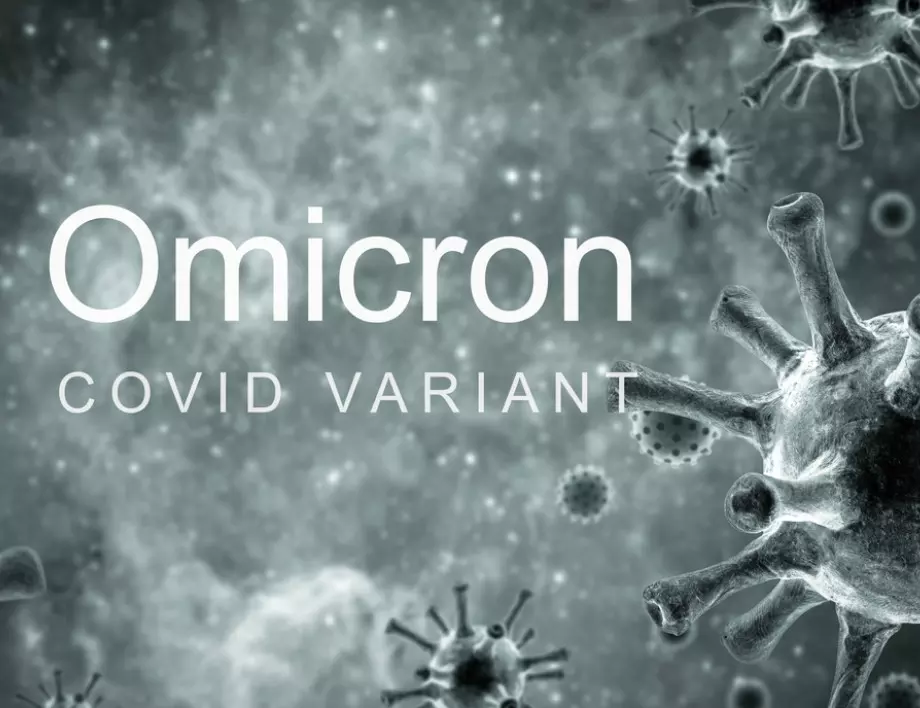 Учени: В-клетките на имунната система отслабват, но все пак могат да се справят с Омикрон