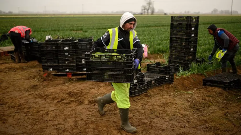 Източноевропейци работят при ужасяващи условия в Германия