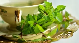 Здравословни ползи от ментата