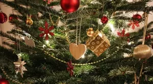 Виц на деня: Мъж се клатушка по улицата, носейки елха