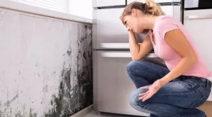 Как лесно да се справите с мухъла?