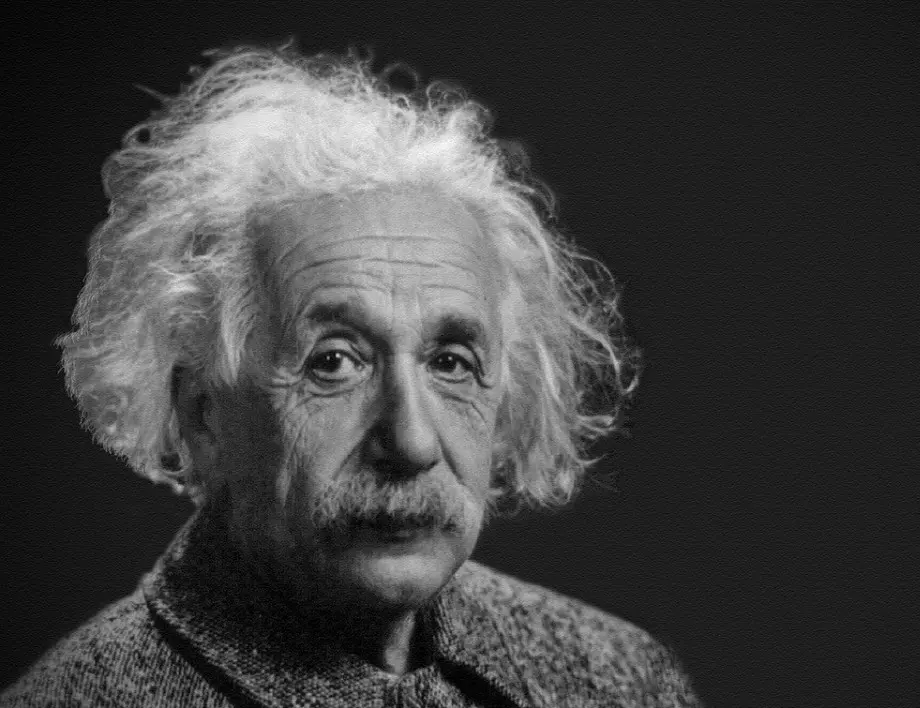 Само 2% от хората могат да решат ребуса на Айнщайн