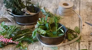 Това е най-здравословната билка, лекува много заболявания