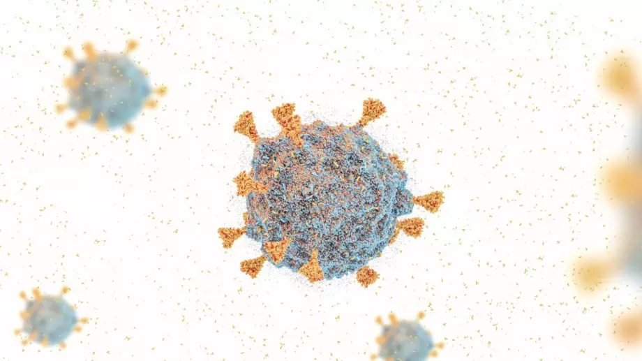 Проф. Радостина Александрова: Въпрос на дни е Омикрон да дойде и у нас