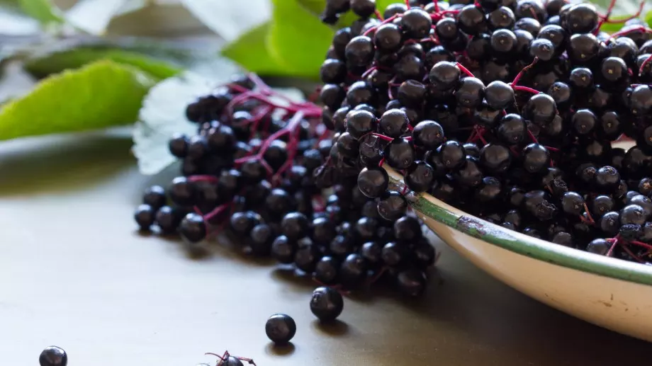 Най-мощният плод за имунитета през зимата