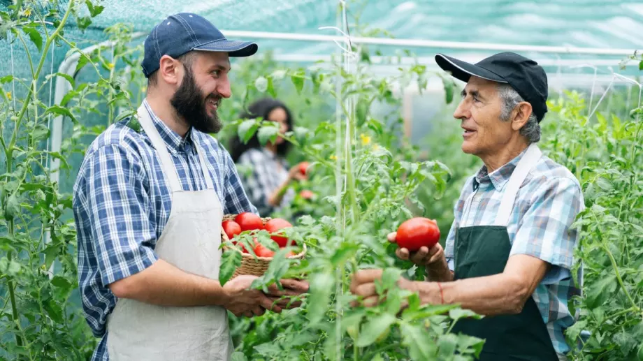 1 милиард лева субсидии за земеделците до средата на годината