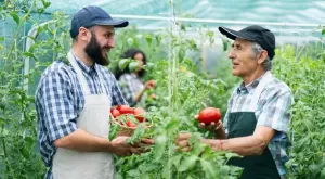 EK одобри 109 млн. евро безвъзмездна помощ за българските фермери заради войната в Украйна 