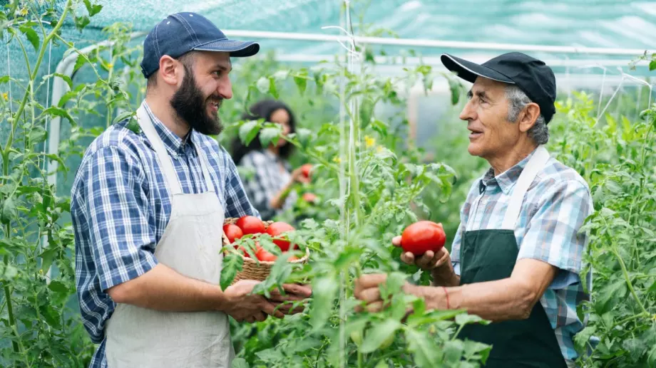 EK одобри 109 млн. евро безвъзмездна помощ за българските фермери заради войната в Украйна 