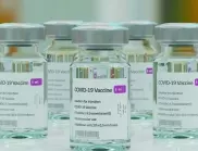 Надежда: Интраназална ваксина от кокоши яйца ще предпазва от всички щамове на COVID-19 