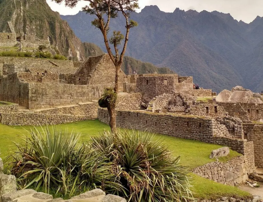 Следи от големи детски жертвоприношения са открити в Перу (СНИМКИ 18+)