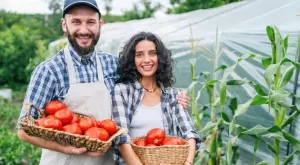 Страхотните ползи от консумацията на домати