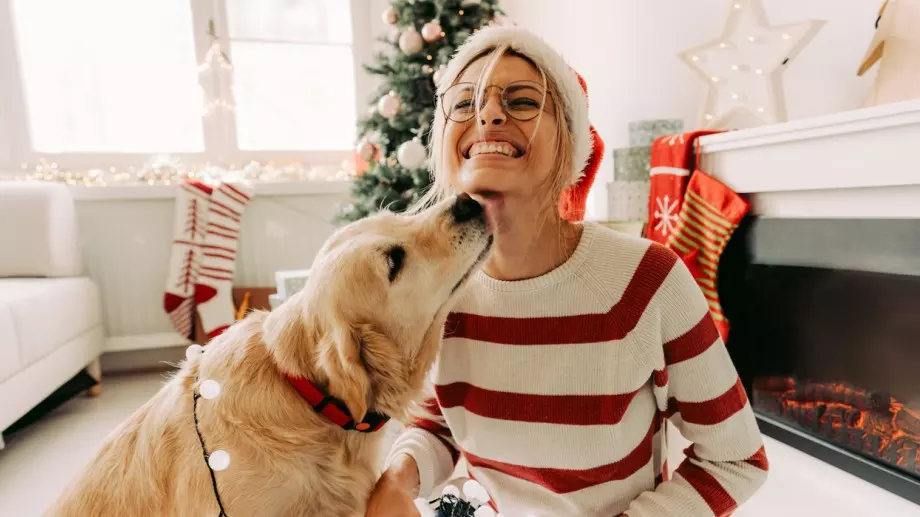 Ето как различните зодии ще прекарат Коледа   