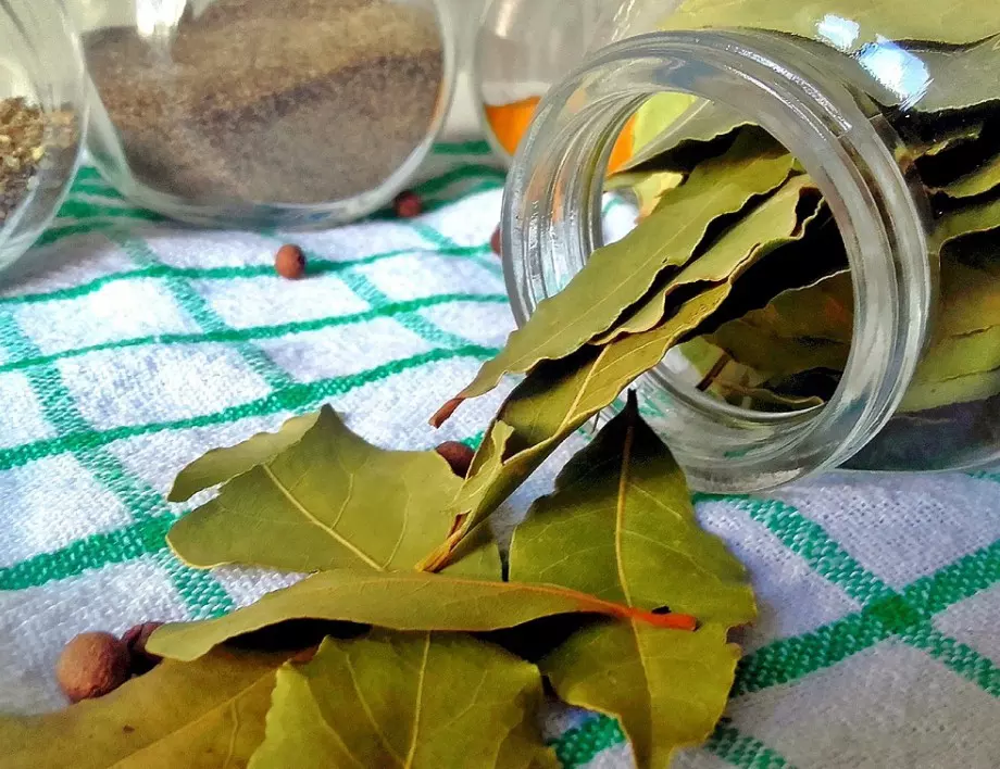 Какви са ползите от отварата от дафинов лист? 