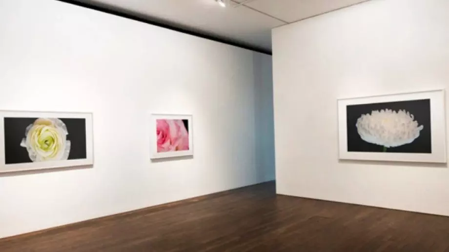 Избор на функционални картини за офиси – как да намерим подходящите