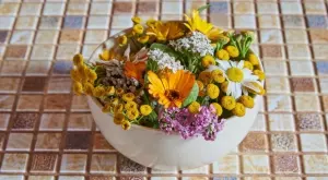 Това е една от НАЙ-ценните и полезни билки