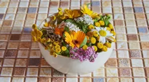 Растения, които са мощни лечители